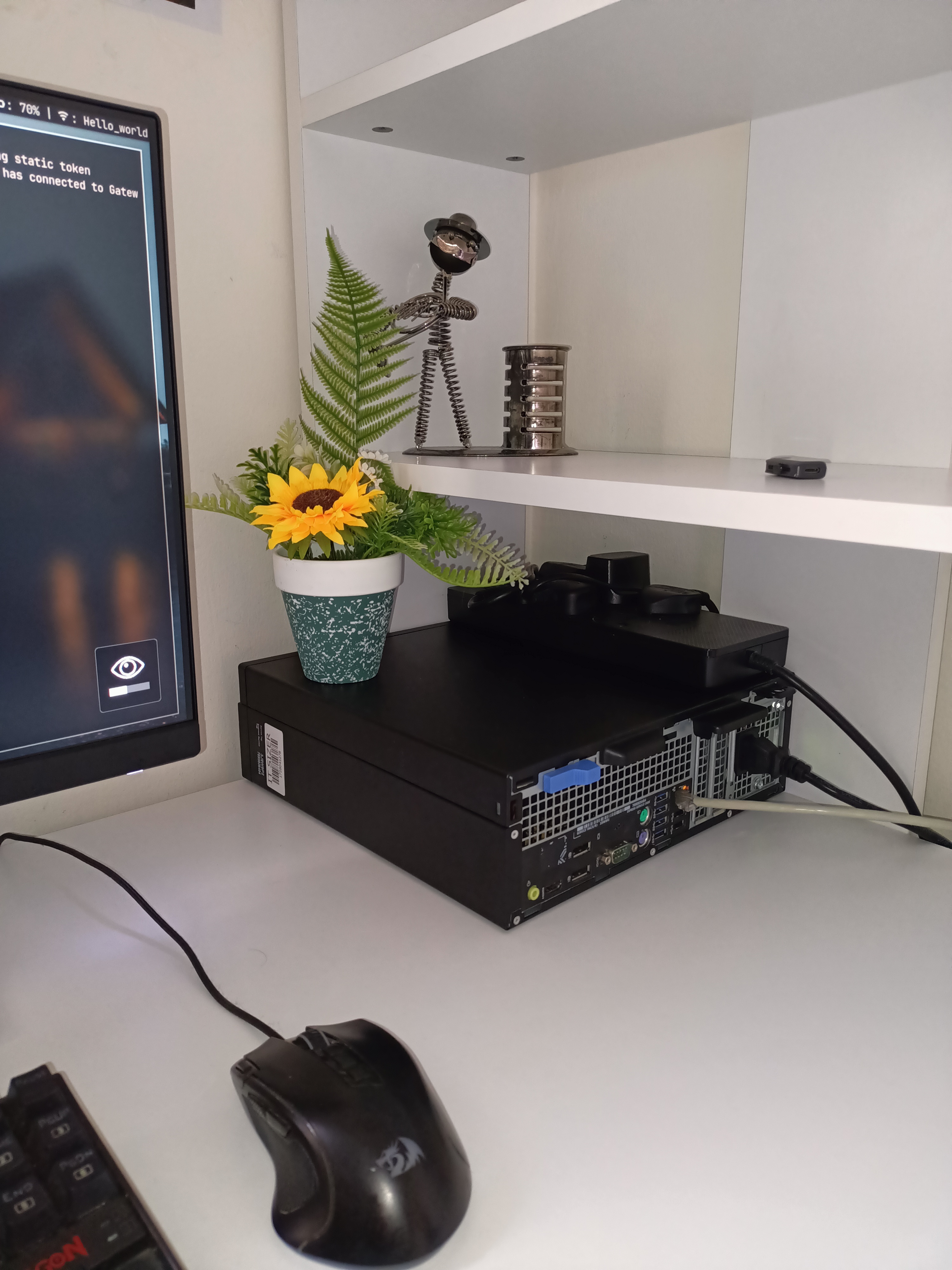 IMG OF SERVER